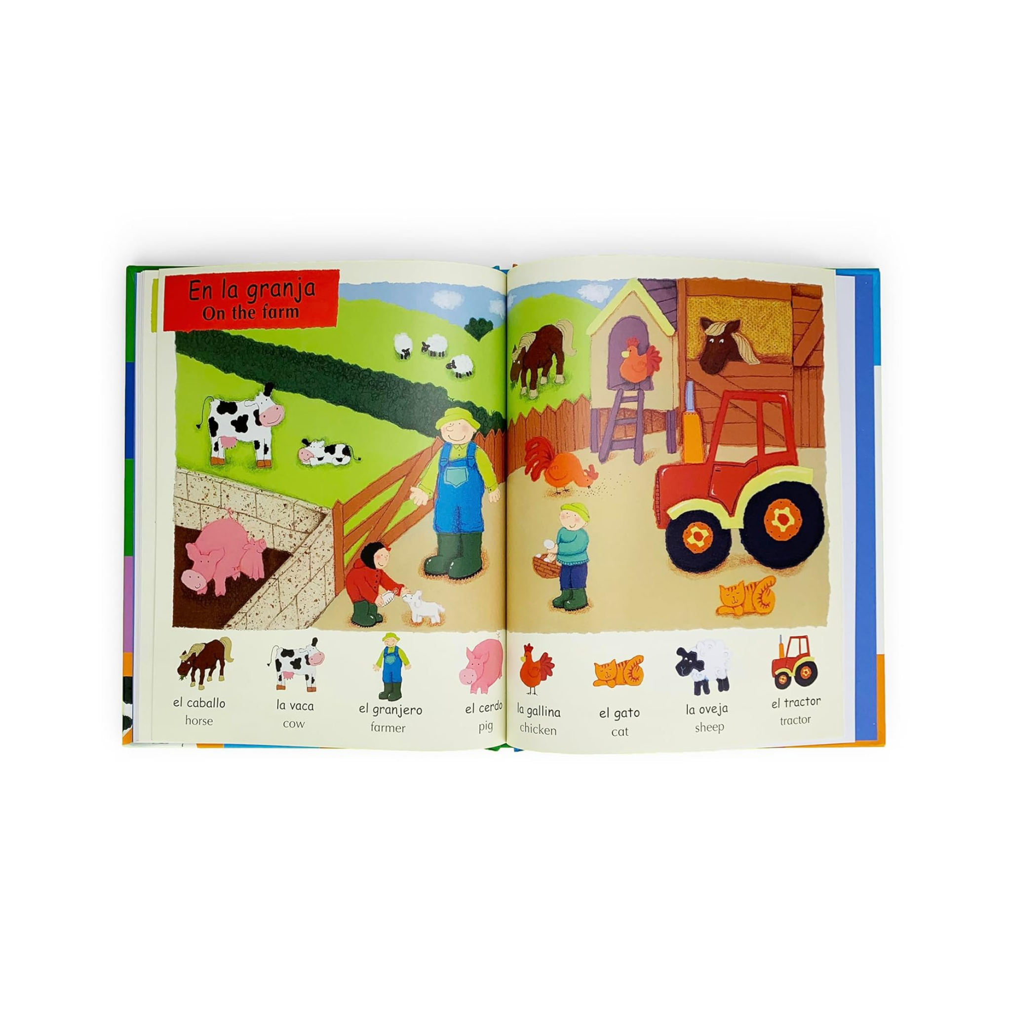 My First 100 Words - Mis Primeras 100 Palabras (HARDCOVER)
